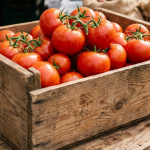 Tomate registra explosão de 20,62% em maio e acumula alta de 28,56% nos últimos 12 meses
