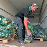 Beneficiários do Prato Cheio no DF podem acessar a Cesta Verde; descubra como é feita a entrega