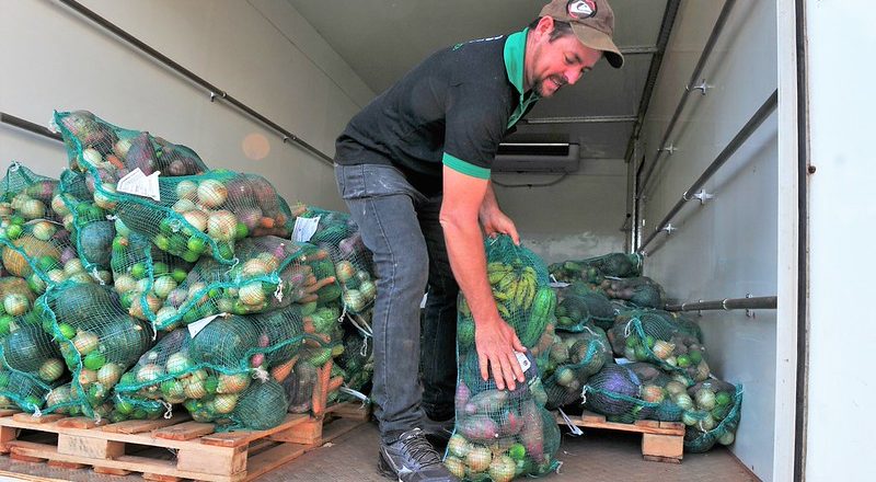 Beneficiários do Prato Cheio no DF podem acessar a Cesta Verde; descubra como é feita a entrega