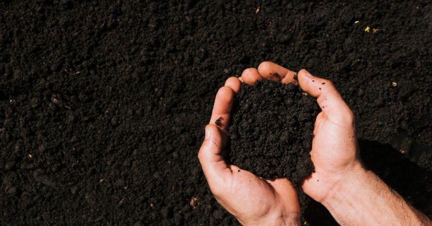 Cauê Lopes Martins revela o impacto transformador dos fertilizantes de liberação controlada na agricultura moderna