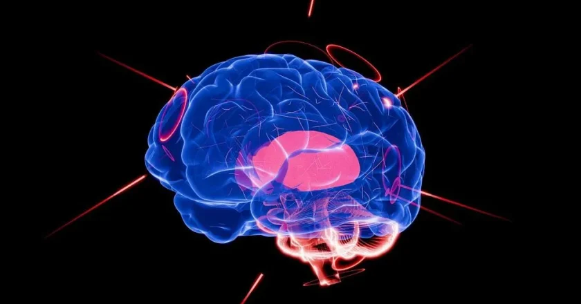 Irã anuncia desenvolvimento de “cérebro artificial” utilizando neurônios vivos
