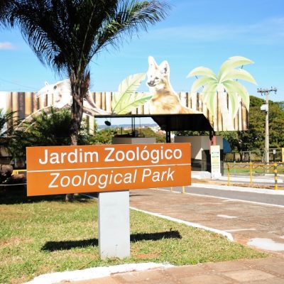 Zoológico de Brasília não abrirá as portas neste domingo (4/10); confira a data de reabertura