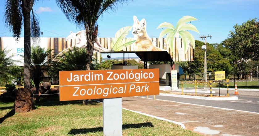 Zoológico de Brasília não abrirá as portas neste domingo (4/10); confira a data de reabertura